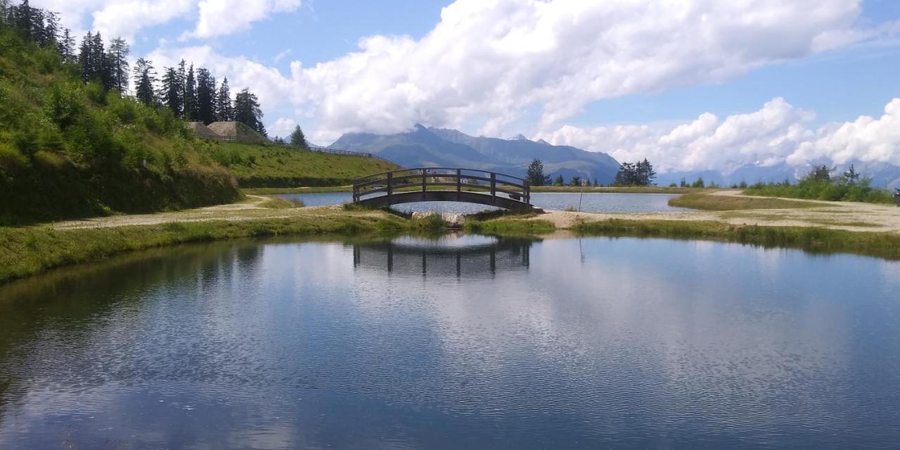 Gaestehaus Landhaus Tyrol غريس ام سيلراين المظهر الخارجي الصورة