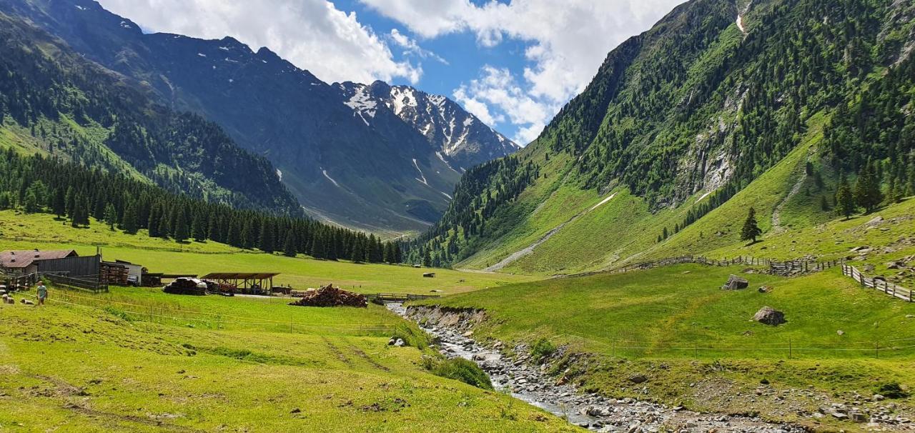Gaestehaus Landhaus Tyrol غريس ام سيلراين المظهر الخارجي الصورة