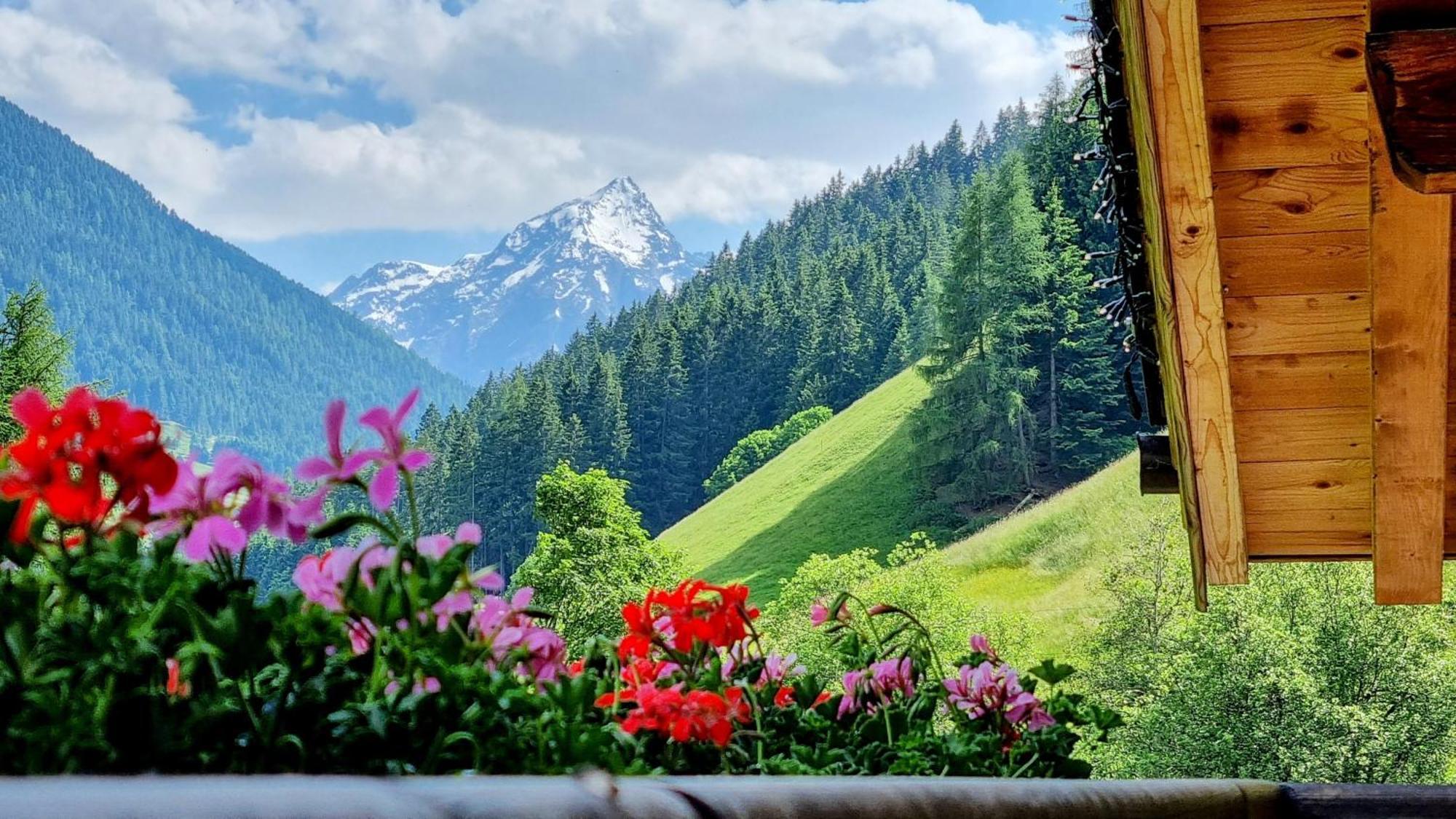 Gaestehaus Landhaus Tyrol غريس ام سيلراين المظهر الخارجي الصورة